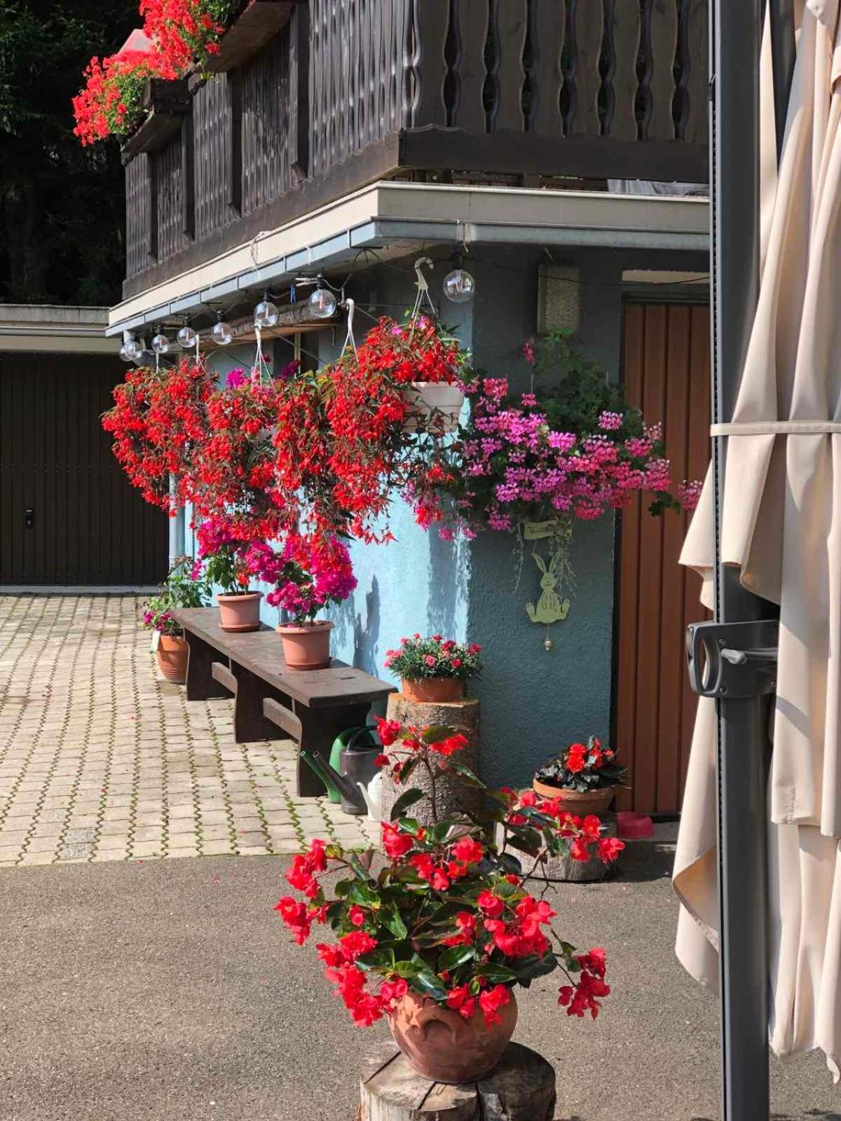 Haus-Erzberg Bed and Breakfast Vordernberg Εξωτερικό φωτογραφία