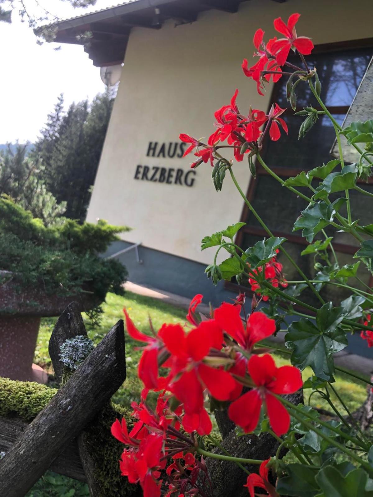 Haus-Erzberg Bed and Breakfast Vordernberg Εξωτερικό φωτογραφία